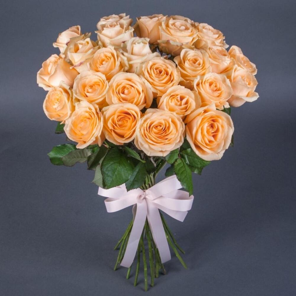 Roses Peach Avalanche